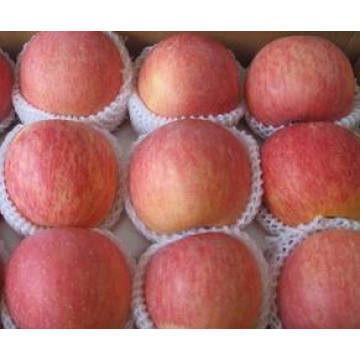 Hot Sale New Crop Fresh FUJI Apple From China High Quality